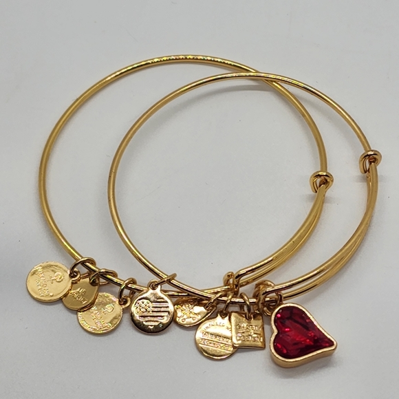 Alexa & Ani Gold Spacer & Heart Of Strentgh Bracelet - Picture 6 of 10